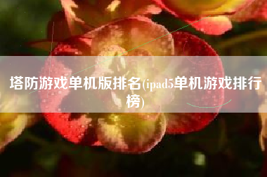 塔防游戏单机版排名(ipad5单机游戏排名)