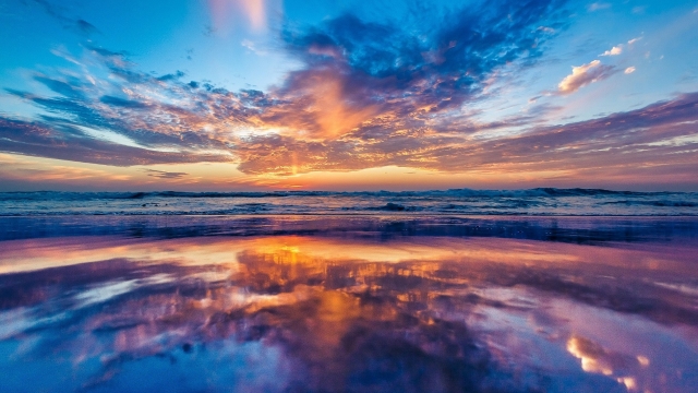 漯河会展中心本周末见！